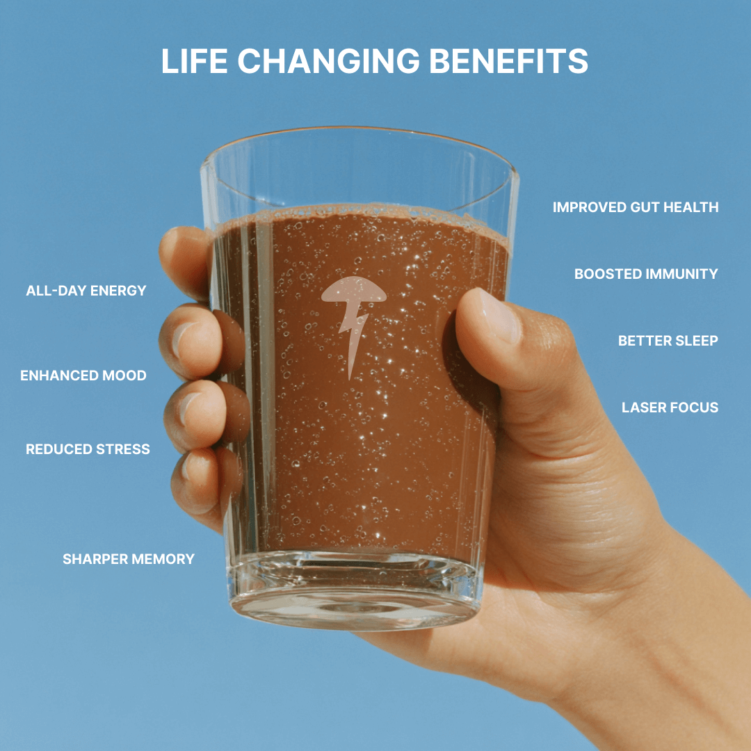 All-Day Energy. Clear Focus. No Crash.