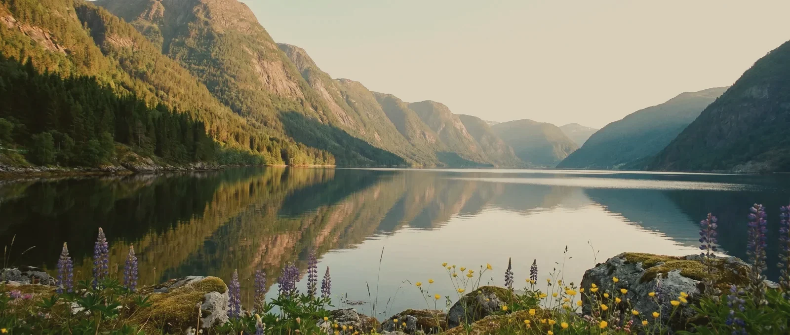 Arctic-blue Nordic cliff coastline, the Swedish landscape behind Thunder Honey