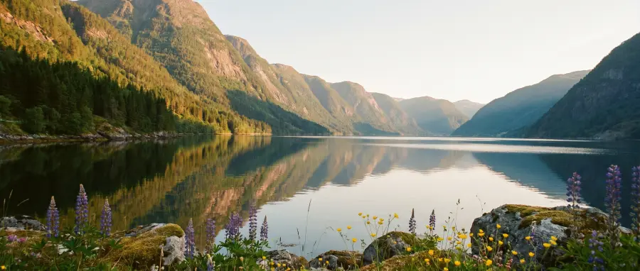 I_fjord_summer