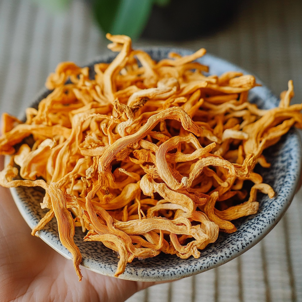3._Cordyceps.png