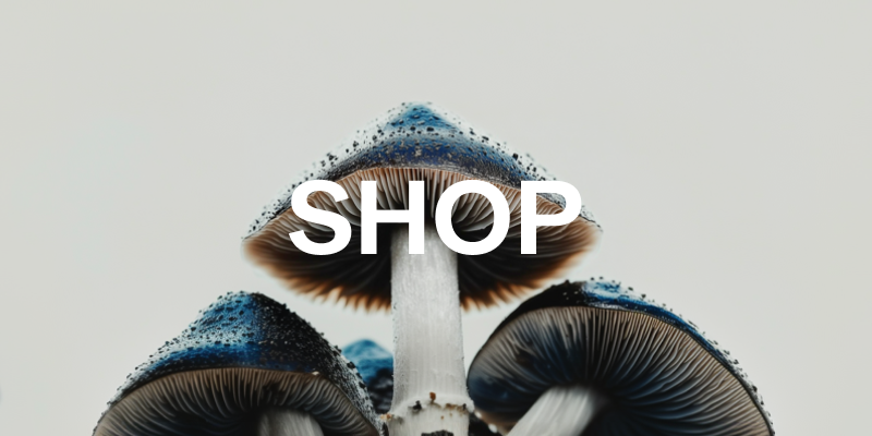Dribbble_shot_HD_-_5.png
