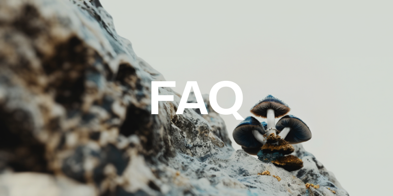 faq.png