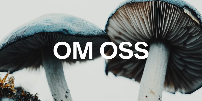 om_oss.png